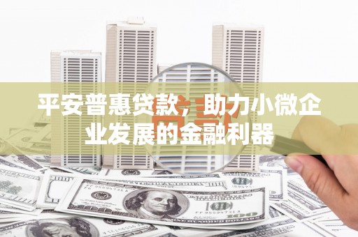 大观平安普惠贷款，助力小微企业发展的金融利器
