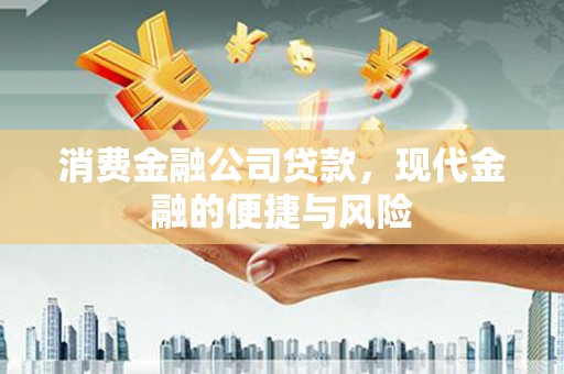大观消费金融公司贷款，现代金融的便捷与风险