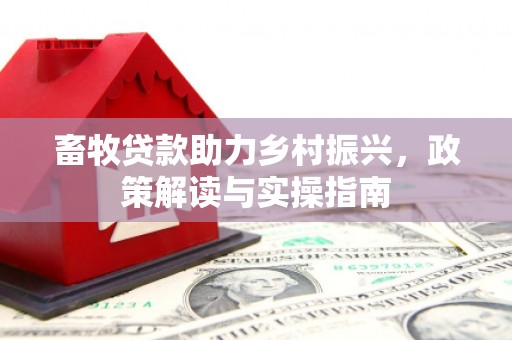大观畜牧贷款助力乡村振兴，政策解读与实操指南