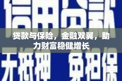 大观贷款与保险，金融双翼，助力财富稳健增长