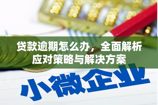 大观贷款逾期怎么办，全面解析应对策略与解决方案