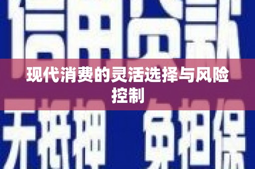 大观现代消费的灵活选择与风险控制