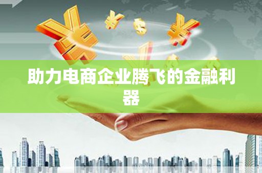 大观助力电商企业腾飞的金融利器