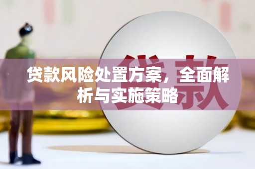 大观贷款风险处置方案，全面解析与实施策略