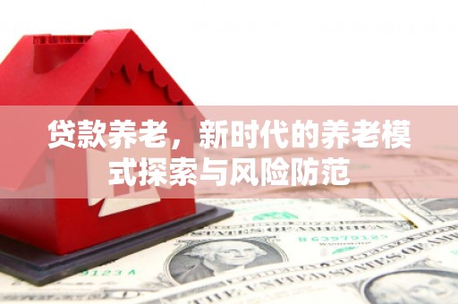 大观贷款养老，新时代的养老模式探索与风险防范