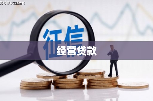 大观经营贷款