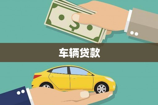 大观车辆贷款