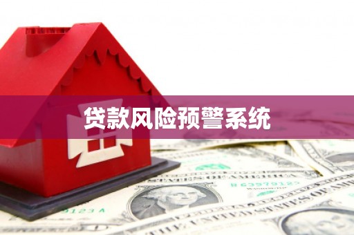 大观贷款风险预警系统