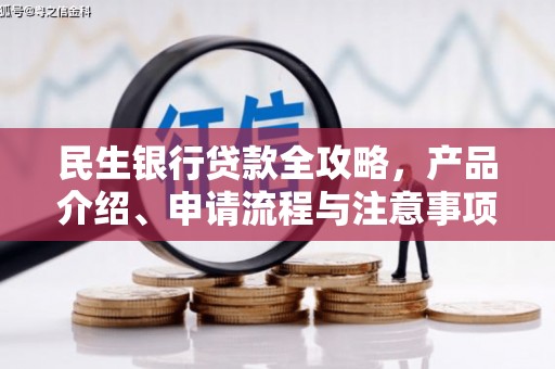 大观民生银行贷款全攻略，产品介绍、申请流程与注意事项